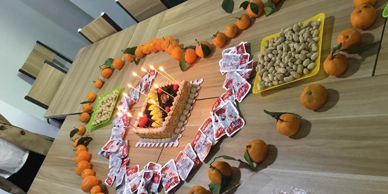 Profffisy Toner Employees Collective Birthday Party.jpg