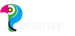 Proffisy Technology Co.,Ltd